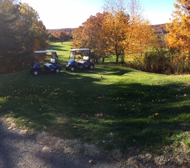 View of carts on golf course